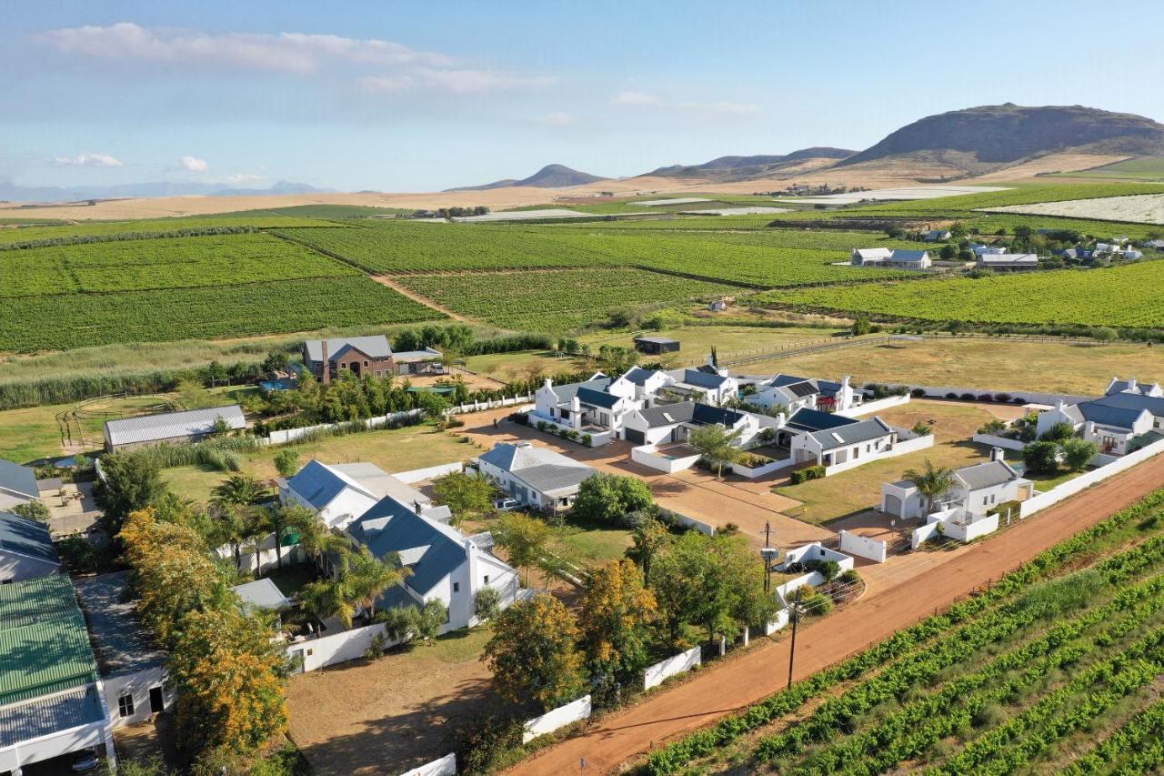 Hotel Shiraz Estate Riebeek-Kasteel Zewnętrze zdjęcie